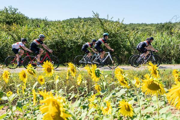 Fiets